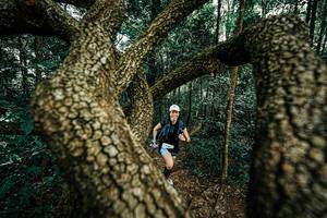 BIB: 
                            <button type="button" onclick="openModal(25393357)" class="btn btn-primary btn-sm float-right btn-popup" data-toggle="modal" data-target=".modal-high-quality">
                        <i class="fas fa-shopping-cart"></i> Add to Cart
                    </button>
                                            <button type="button" onclick="isThisMe(25393357, true)" class="btn btn-success btn-sm float-right btn-popup btn-isme hidden" data-toggle="tooltip" data-placement="bottom" title="นี่คือรูปของคุณใช่ไหม คลิกที่นี่เพื่อเอาเข้าอัลบั้ม">
                        <i class="fas fa-plus"></i> Add to album
                    </button>
                    <button type="button" onclick="isThisMe(25393357, false)" class="btn btn-warning btn-sm float-right btn-popup btn-isnotme hidden">
                        <i class="fas fa-ban"></i> Remove from album
                    </button>